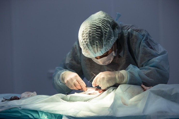 DDL Surgery DDL Surgery
